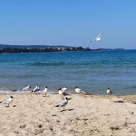 On The Seaside, ブルガス